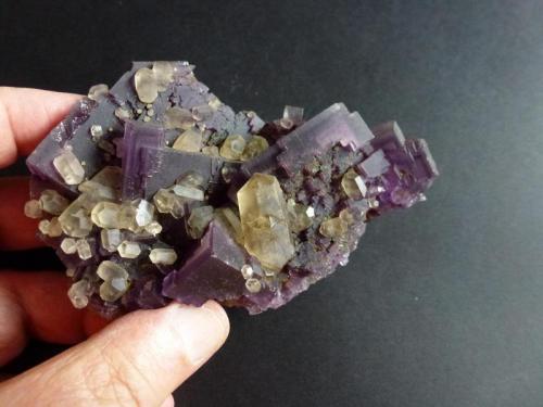 Fluorita y Calcita
Denton Mine, Harris Creek, Hardin, Illinois, USA
10 x 7 cm. (Autor: javier ruiz martin)