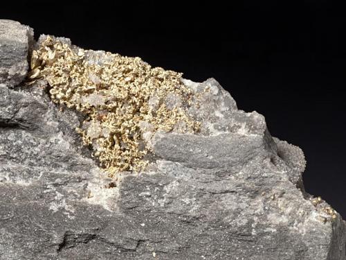 Gold
Baia de Aries (Offenbánya), Alba Co., Romania
2x1,5 cm the area
Crystalline native Gold in grayish Quartz matrix. (Author: Simone Citon)