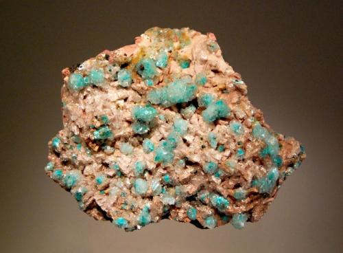 Rosasite and Gypsum
Bou Bekker, Touissit, Oujda-Angad Province, Oriental Region, Morocco
7.6 x 8.8 cm.
Blue-green rosasite coated with transparent gypsum on a pinkish dolomite matrix. (Author: crosstimber)