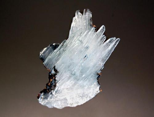 Barite
Ouichane Mines, Beni Bou Ifrour, Nador, Oriental Region, Morocco
4.1 x 5.7 cm
Pale blue, spear-shaped barite crystals with a small amount of brown gossan matrix. (Author: crosstimber)