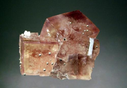 Fluorite
El Hammam Mine, Meknès, Meknès-Tafilalet Region, Morocco
5.8 x 6.3 cm.
Several intergrown grayish cubic fluorite crystals with thin purple zoned rims. Small pyrite spheres are scattered over the cube surfaces, and there is a partial cubic cast of quartz after fluorite on the underside of the specimen. (Author: crosstimber)