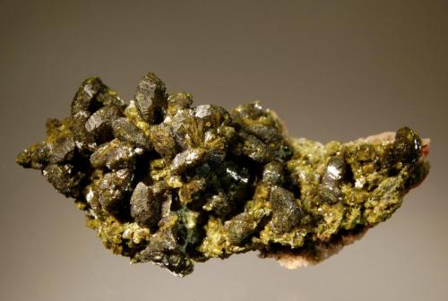 Epidote
Imilchil, Er Rachidia Province, Meknès-Tafilalet Region, Morocco
4.2 x 8.4 cm.
Dark-green, lustrous, fan-shaped epidote crystals covering the top of a quartz matrix. (Author: crosstimber)