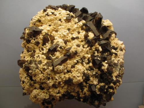 Smoky Quartz + Microcline
Isle of Arran, Scotland, UK
13cm x 12cm x 7cm
Almost undamaged matrix specimen with transparent smoky quartz crystals to 2cm. Self-collected 2003. (Author: Mike Wood)
