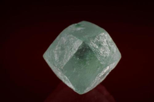 Boracite
Sehnde, Hildesheim, Lower Saxony, Germany
10 mm (Author: Gerhard Brandstetter)
