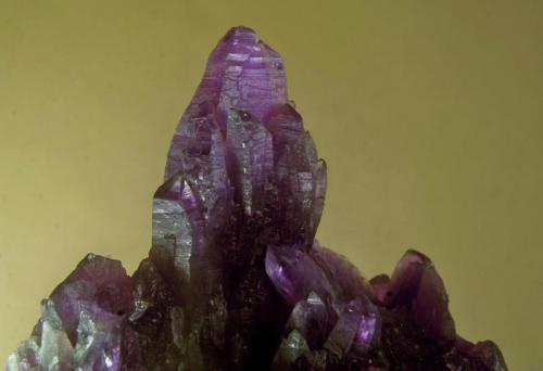 Amethyst
Porkura (Valisoara), Transylvania, Romania
FOV 4 cm
Romanian minerals are usually not rare on a show. But how often did you see a sample from this 19th century location? (Author: Gerhard Brandstetter)