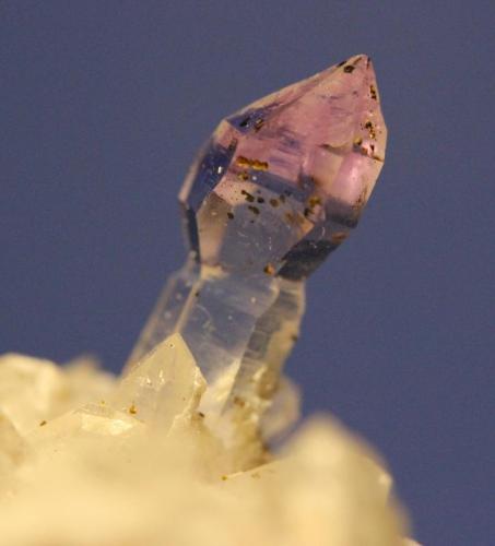 Quartz (var Amethyst)
Brandberg, Namibia
44 x 23 x  18 mm
Scepter 11 mm (Author: Don Lum)