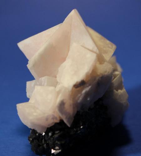 Calcite, Sphalerite
Racracancha Mine, Tinyahuarco District, Pasco Province, Cero De Pasco Department, Peru
7.3 x 5.2 x 4.6 cm
Multiple twinned Manganocalcite on Sphalerite (Author: Don Lum)