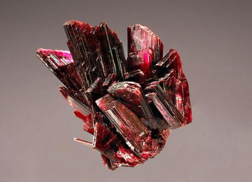 Erythrite
Vein 7, Bou Azzer, Tazenakht. Ouarzazate Province, Morocco
2.2 x 2.6 cm.
Undamaged dark magenta, bladed erythrite crystals. Collected in 2000. (Author: crosstimber)