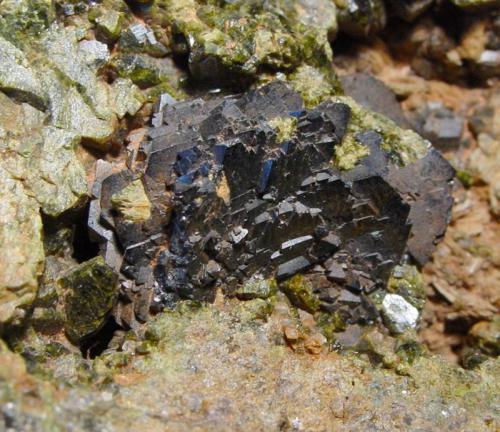 Magnetita, Epidota
Mina Milucha, Burguillos del Cerro, Badajoz, España
Roseta de 4cm (Autor: Raul Vancouver)