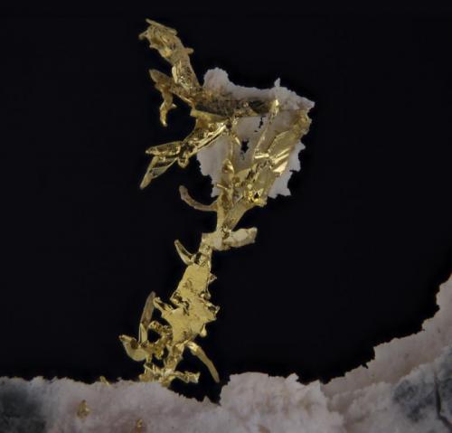 Oro
Nevada. USA.
4mm de altura del oro
La cosa ha cambiado mucho, el oro está mucho más iluminado, la calidad es mejor y no se dan brillos indeseados. (Autor: Oscar Fernandez)