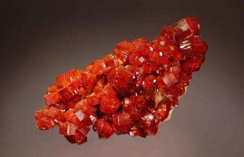 Vanadinite
near ACF Mine, Mibladen, Khenifra Province, Morocco
3.6 x 7.2 cm.
Lustrous, reddish-orange hexagonal crystals scattered over a matrix of white bladed crystallized barite. Collected in 2001 from a prospect near the ACF Mine, at a depth of 10 meters. (Author: crosstimber)