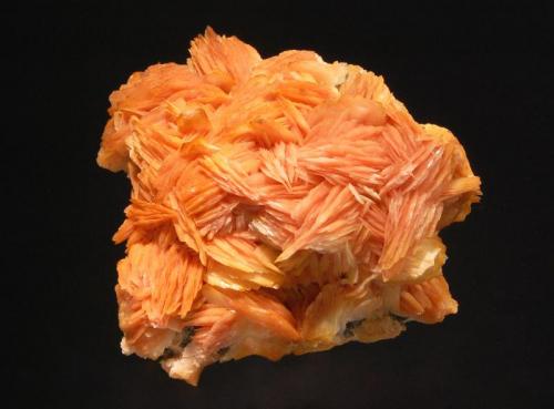 Barite
Les Dalles Mine, Mibladen, Khenifra Province, Morocco
7.3 x 7.5 cm
Intergrown groups of bladed cream to reddish-brown barite covering the top of a tan fine-grained matrix. (Author: crosstimber)