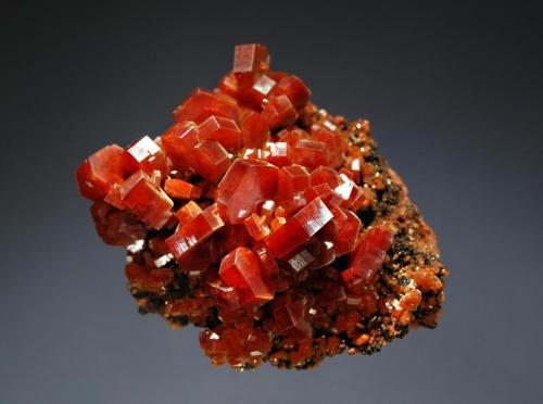 Vanadinite
Mibladen, Khénifra Province, Meknes-Tafilalet Region, Morocco
5.2 x 5.9 cm.
Lustrous red-orange hexagonal prisms to 1.0 cm on brown matrix. (Author: crosstimber)