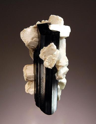 Schorl
Anzar Army Camp, Hanuchal, Gilgit-Baltistan, Pakistan
1.6 x 6.0 cm.
A lustrous, black, doubly terminated crystal with milky white albite crystals. (Author: crosstimber)