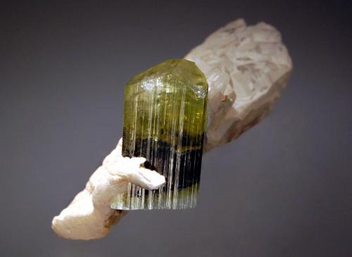 Elbaite
Shengus, Skardu District, Gilgit-Baltistan, Pakistan
4.2 x 7.4 cm.
A doubly terminated elbaite crystal with a colorless basal section, dark green center, and light green termination partly surrounded by cream to colorless quartz. (Author: crosstimber)