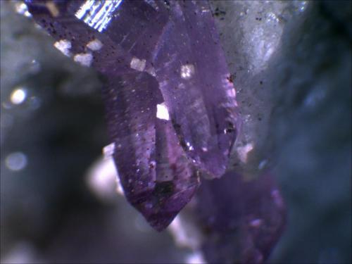 Quartz Var. Amethyst
Cava Capurru, Osilo Sassari, Sardegna, Italia
1cm x .5cm x .5cm (Author: Mark Ost)