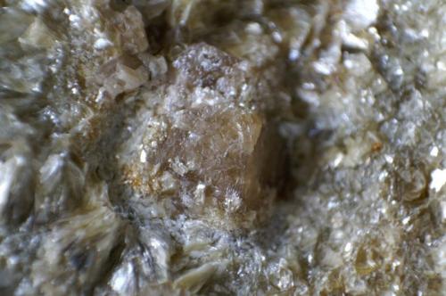 Scheelita
Boal, Asturias, España
5 x 4 x 2  cm
El cristal mide 1 cm. (Autor: DavidSG)
