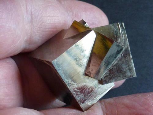 Pirita<br />Valdeperillo, Cornago, Comarca Arnedo, La Rioja, Spain<br />3 cm x 2,5 cm<br /> (Autor: javier ruiz martin)