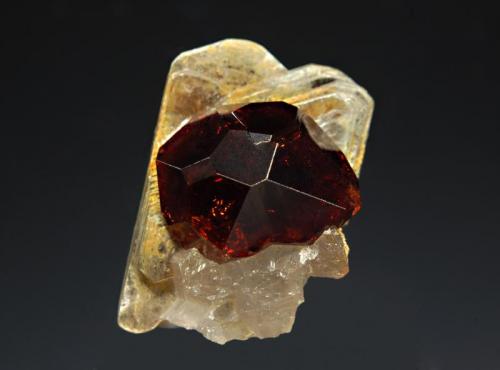 Spessartine
Biyano, Braldu Valley, Baltistan, Gilgit-Baltistan, Pakistan
2.0 x 2.3 cm.
Reddish-orange spessartine and colorless quartz on muscovite. (Author: crosstimber)