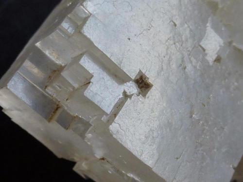 Halita<br />Pepita Mine (Mine entrance Agoncillo), Agoncillo, Comarca Rioja Media, La Rioja, Spain<br />7 cm x 4 cm<br /> (Autor: javier ruiz martin)
