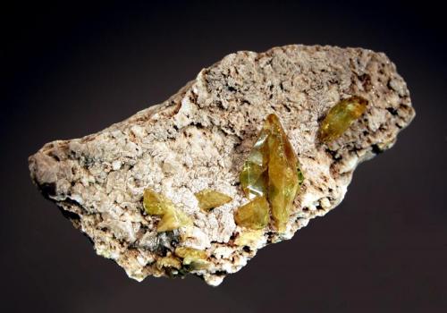 Titanite
Arandu, Basha Valley, Skardu District, Gilgit-Baltistan, Pakistan
4.0 x 8.2 cm.
Several lustrous yellow-green single and twinned titanite crystals on matrix. (Author: crosstimber)