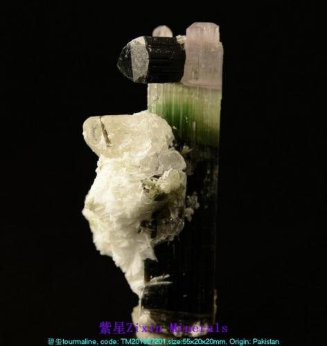 Elbaite (Tourmaline) with Spodumene (variety kunzite)
Pakistan
55x20x20 mm (Author: Walker)