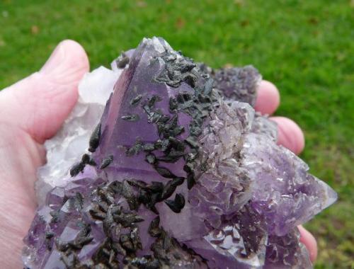 Amethyst quartz and unknown mineral, possibly calcite.
Brandberg, Namibia
129 x 119 x 89 mm
Same as above. (Author: Pierre Joubert)