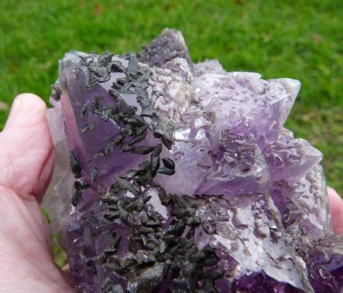 Amethyst quartz and unknown mineral, possibly calcite.
Brandberg, Namibia
129 x 119 x 89 mm
Same as above.  The unknown crystals are up to 8 mm long. (Author: Pierre Joubert)