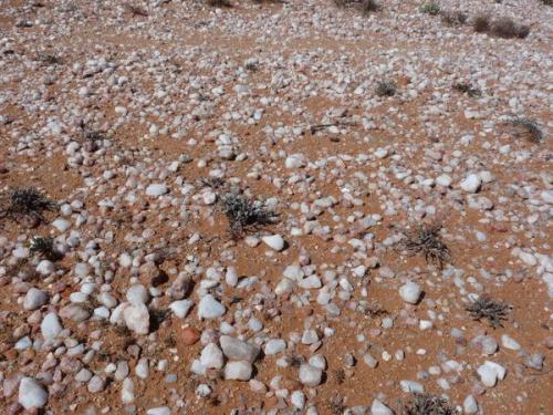 Everywhere weathered quartz veins surface with an interesting variety of quartz. (Author: Pierre Joubert)