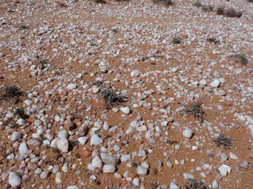 Everywhere weathered quartz veins surface with an interesting variety of quartz. (Author: Pierre Joubert)