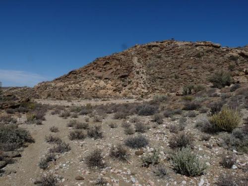 A prominent vein (one of many) on an adjoining hill. (Author: Pierre Joubert)