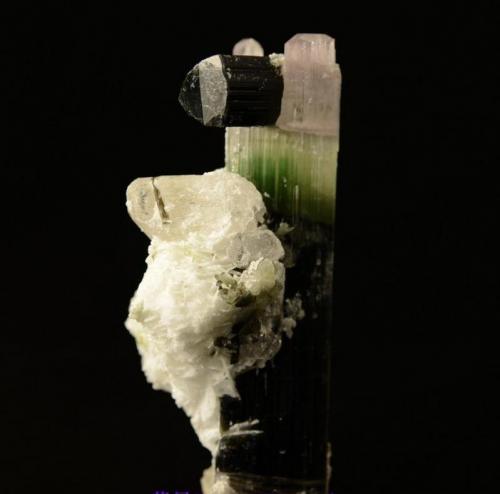 Elbaite (Tourmaline) with Spodumene (variety kunzite)
Pakistan
55x20x20 mm (Author: Walker)