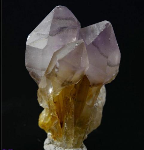 Quartz (variety amethyst)
Pakistan
50x35x20mm (Author: Walker)