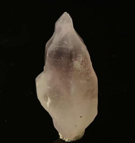 Quartz (variety amethyst)
Pakistan
50x25x15mm (Author: Walker)