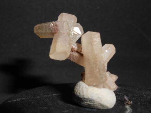 Calcite
Francisco I. Madero Mine, Municipality of Zacatecas, Zacatecas, Mexico
1.7 cm x 2.4 cm x 1 cm (Author: Williams Antonio)