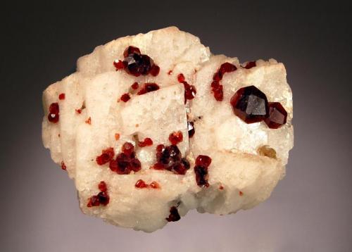 Spessartine
Teston, Braldu Valley, Skardu District, Gilgit-Baltistan, Pakistan
5.7 x 6.8 cm.
Sharp reddish-brown trapezohedral spessartine crystals to 1.0 cm on a matrix of white albite. (Author: crosstimber)