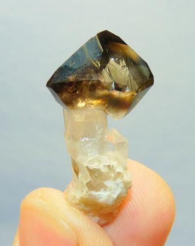 Smoky quartz scepter
Northern Cape, South Africa
34 x 17 x 11mm (Author: Pierre Joubert)