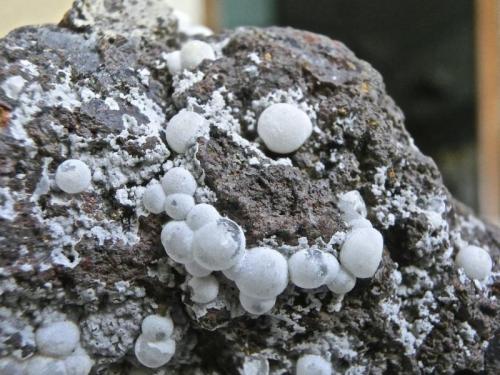 Calcita<br />Barranquillo de Don Zoilo, Barranquillo de Santa Catalina, Las Palmas de Gran Canaria, Gran Canaria, Provincia de Las Palmas, Canarias, España<br />Cristales de 2 a 4 mm<br /> (Autor: María Jesús M.)