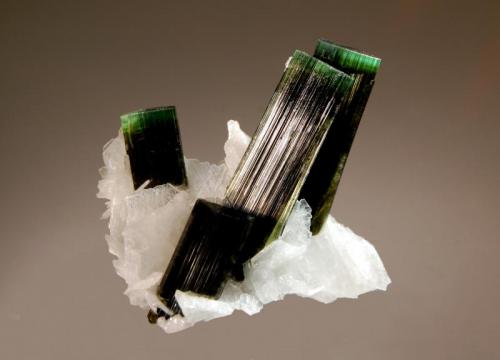 Elbaite
Stak Nala, Haramosh Mts., Skardu District, Gilgit-Baltistan, Pakistan
4.4 x 5.0 x 6.3 cm.
Dark green elbaite crystals with light green terminations surrounded by platy white albite var. cleavelandite. (Author: crosstimber)