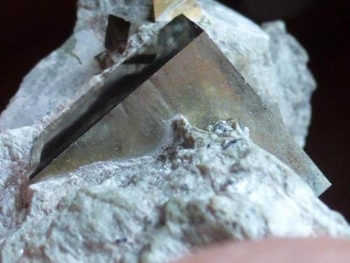 Pirita<br />Valdeperillo, Cornago, Comarca Arnedo, La Rioja, Spain<br />Cristal de 2,5 cm x 2 cm<br /> (Autor: javier ruiz martin)