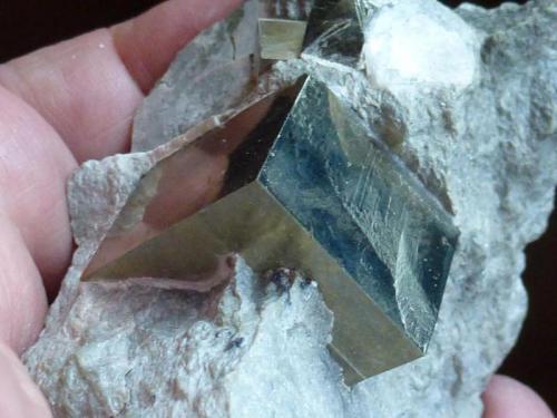 Pirita<br />Valdeperillo, Cornago, Comarca Arnedo, La Rioja, Spain<br />Cristal de 2,5 cm x 2 cm<br /> (Autor: javier ruiz martin)