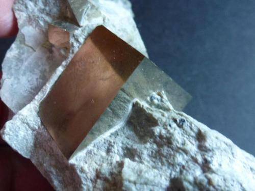 Pirita<br />Valdeperillo, Cornago, Comarca Arnedo, La Rioja, Spain<br />Cristal de 2,5 cm x 2 cm<br /> (Autor: javier ruiz martin)