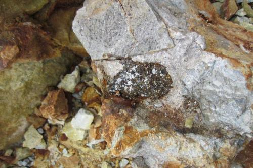 A bit of ore, pyrite and other complex sulfides in situ. I think this was part of an old foundation. (Author: vic rzonca)