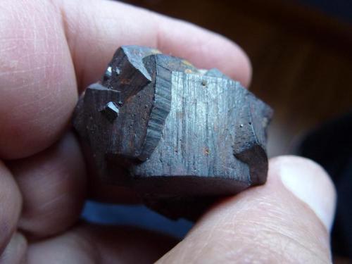 Goethita pseudo Pirita<br />Cervera del Río Alhama, Comarca Cervera, La Rioja, Spain<br />4 cm x 3 cm<br /> (Autor: javier ruiz martin)