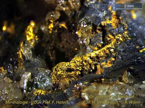 Gold, galena, quartz
La Gardette, Oisans, Isère (France) (Author: Roger Warin)