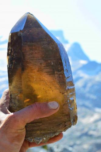 smokyquartz/citrine
Green Dream Claim Revelstoke BC Canada
almost a foot long
large smoky quartz/citrine I found at my claims near revelstoke, now held to the light (Author: thecrystalfinder)