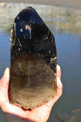 smokyquartz/citrine
Green Dream Claim Revelstoke BC Canada
almost a foot long
large smoky quartz crystal/citrine I found at my claims near Revelstoke BC (Author: thecrystalfinder)