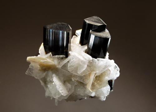 Elbaite-Schorl series
Doko, Basha Valley, Skardu District, Gilgit-Baltistan, Pakistan
3.0 x 3.6 cm.
Dark green elbaite crystals with modified pinacoid terminations associated with colorless bladed albite and books of pale yellow muscovite. (Author: crosstimber)