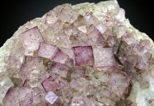 fluorite
Coldstones Quarry, near Patley Bridge, North Yorkshire
FOV = 5 cm (Author: Jesse Fisher)