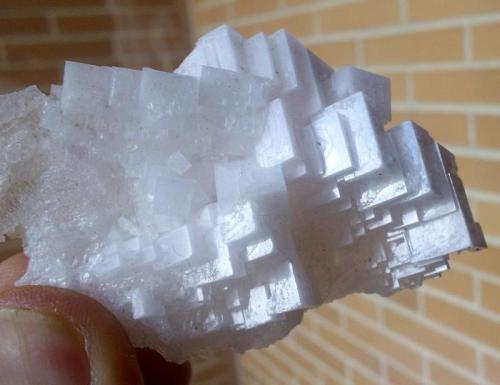 Halita
Salinas de Imón, Siguenza, Guadalajara, Castilla-La Mancha, España
7 x 4 cm (Autor: Cristalino)